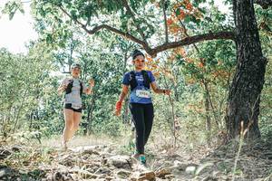 BIB: 
                            <button type="button" onclick="openModal(26103378)" class="btn btn-primary btn-sm float-right btn-popup" data-toggle="modal" data-target=".modal-high-quality">
                        <i class="fas fa-shopping-cart"></i> Add to Cart
                    </button>
                                            <button type="button" onclick="isThisMe(26103378, true)" class="btn btn-success btn-sm float-right btn-popup btn-isme hidden" data-toggle="tooltip" data-placement="bottom" title="นี่คือรูปของคุณใช่ไหม คลิกที่นี่เพื่อเอาเข้าอัลบั้ม">
                        <i class="fas fa-plus"></i> Add to album
                    </button>
                    <button type="button" onclick="isThisMe(26103378, false)" class="btn btn-warning btn-sm float-right btn-popup btn-isnotme hidden">
                        <i class="fas fa-ban"></i> Remove from album
                    </button>